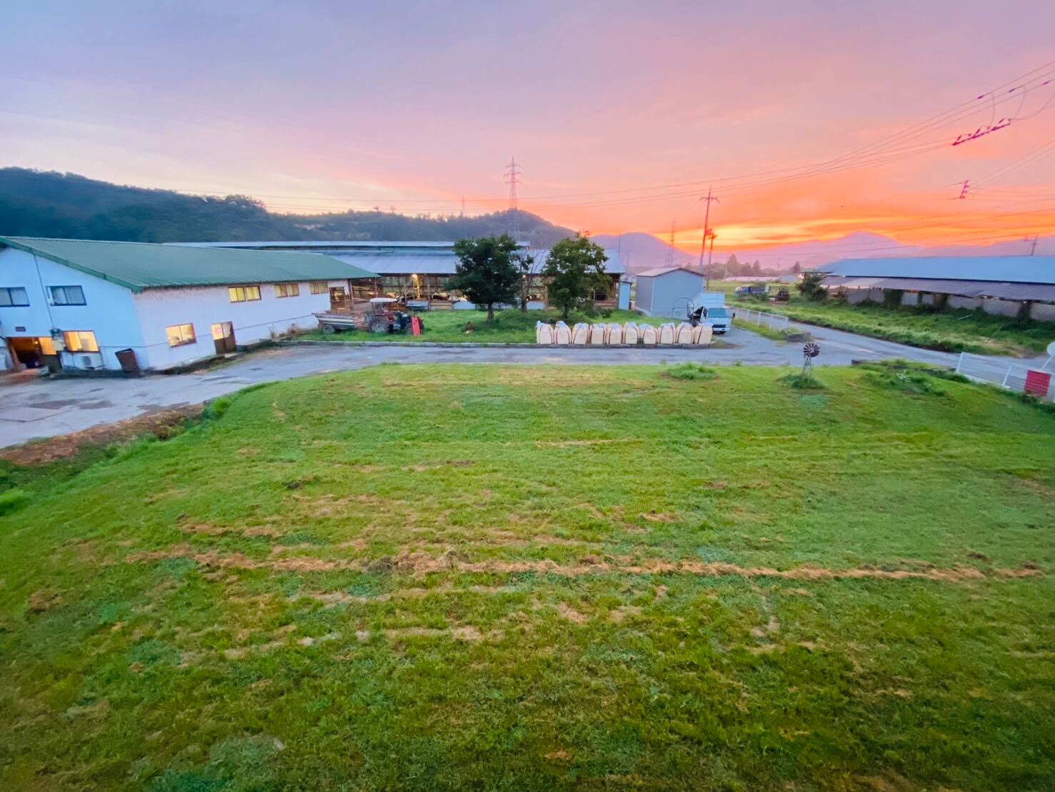 静かな夕暮れの牧場